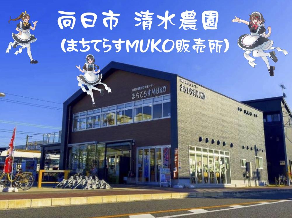 着物　佐渡理　羽二重絹【新品未使用】 着物 佐渡理 羽二重絹【新品未使用】 Web限定販売品