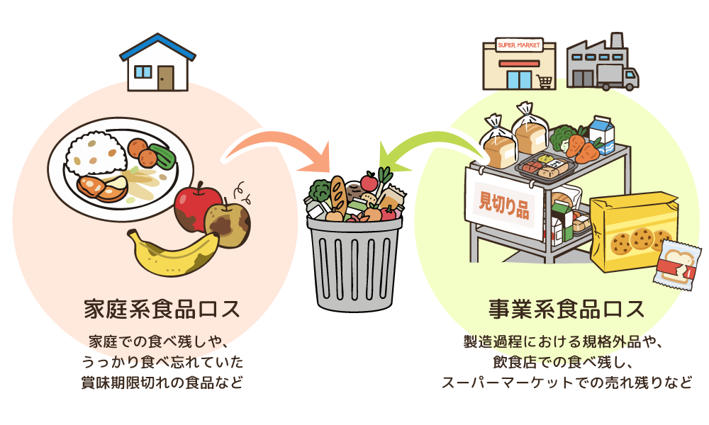 家庭系の食品ロスは、各家庭での食べ残しや、賞味期限切れなどで手つかずのまま捨てられる食品。事業系の食品ロスは、食品メーカーでの製造過程における規格外品や、飲食店での食べ残し、スーパーマーケットでの売れ残りなどが含まれます。