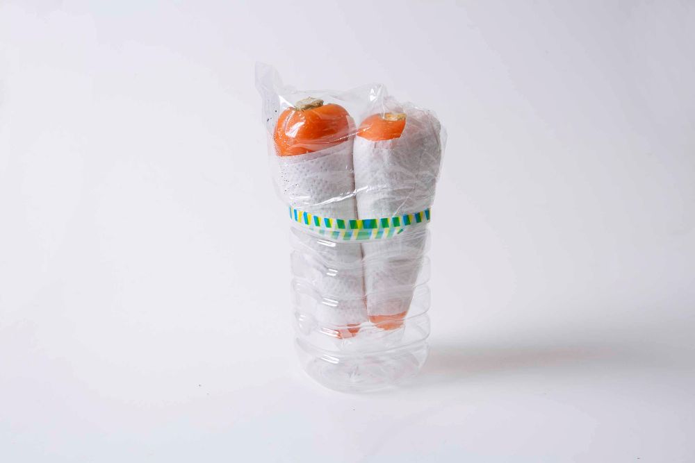 人参の保存術 冷蔵の場合